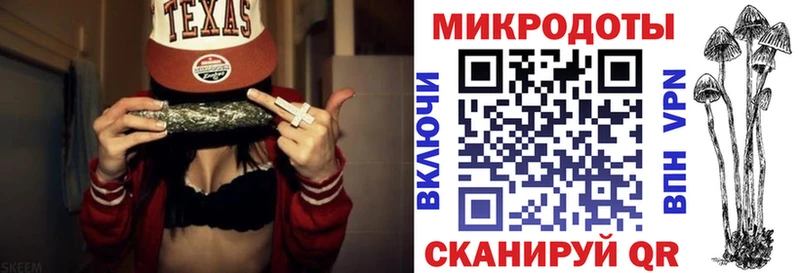 Галлюциногенные грибы Psilocybe  Карталы 